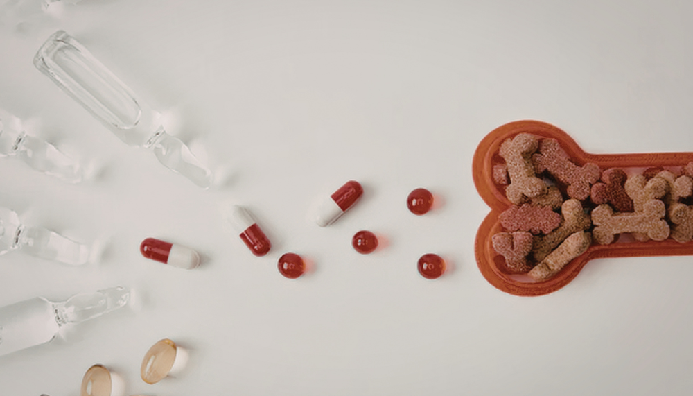 plusieurs compléments alimentaires pour chien et médicaments