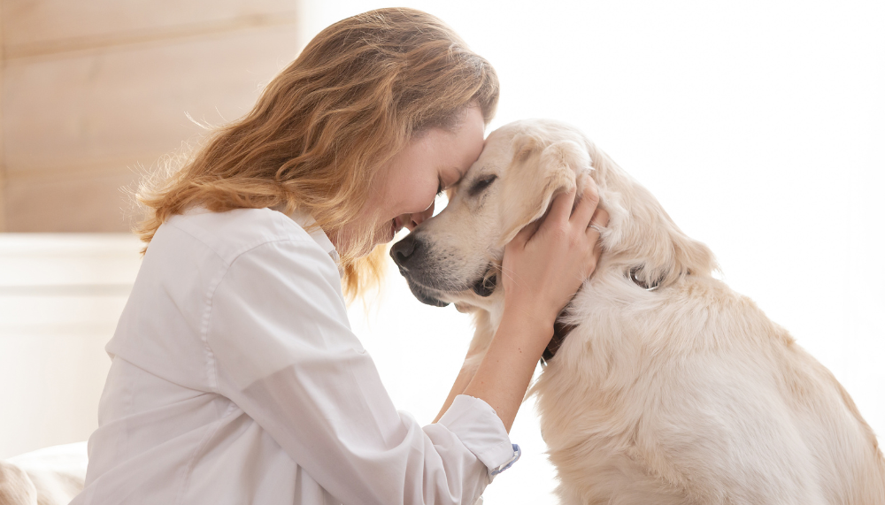 tete à tete entre chien et sa propriétaire