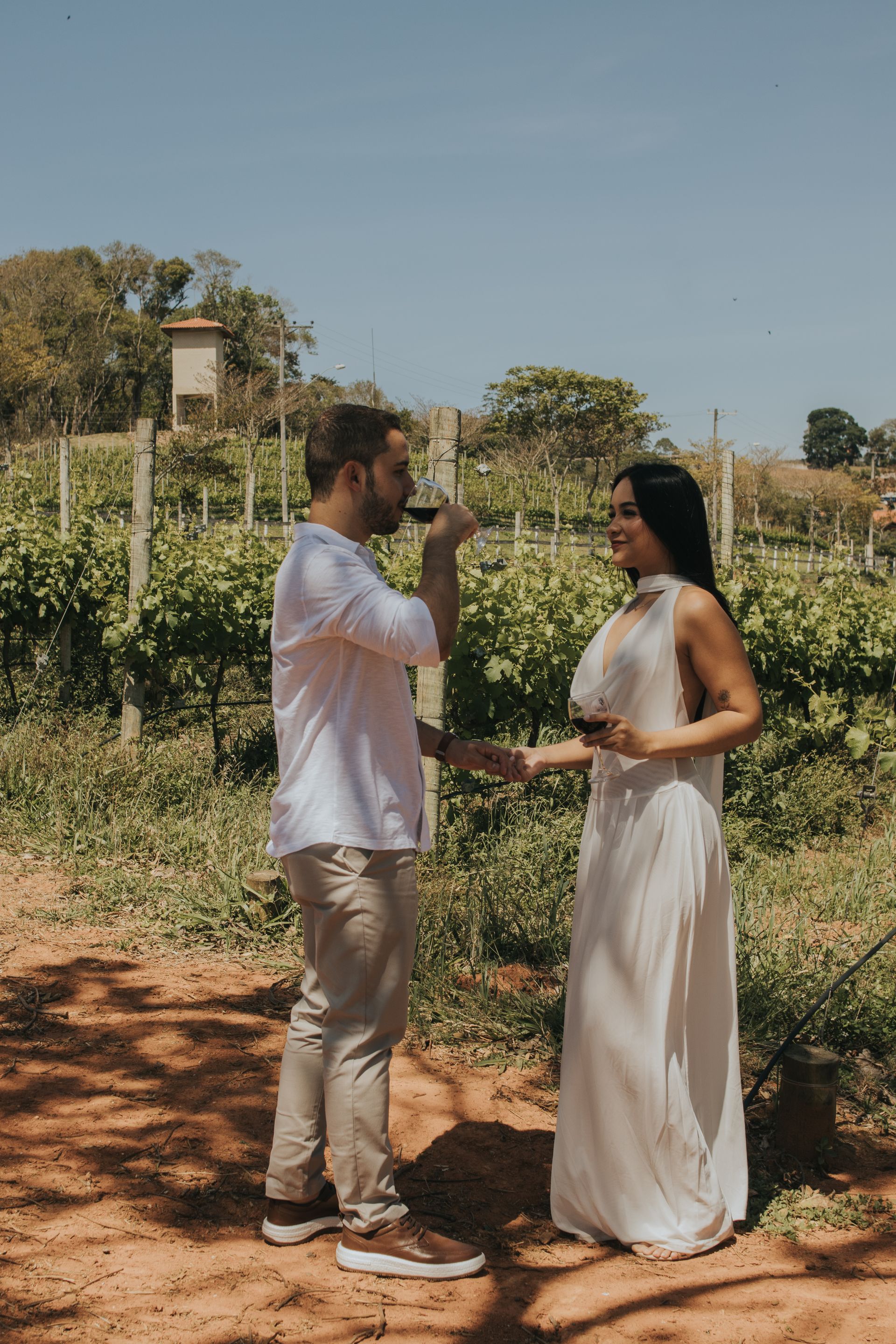 Expérience œnologique et dégustation de vin dans un vignoble