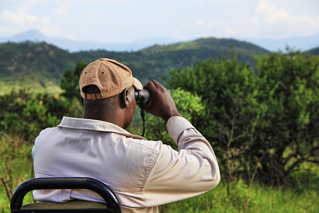 safari Horizon guide expert Tanzanie