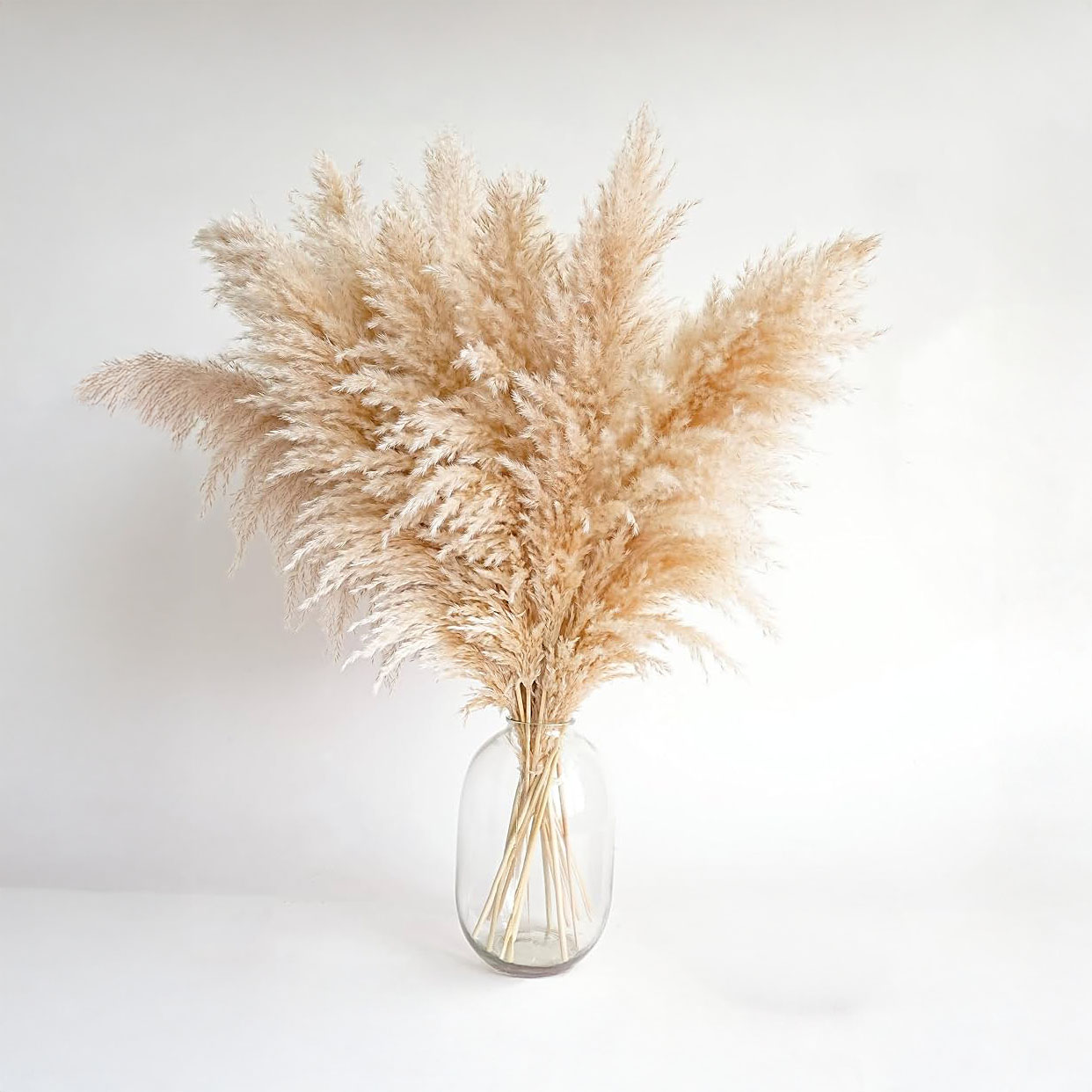 pampas