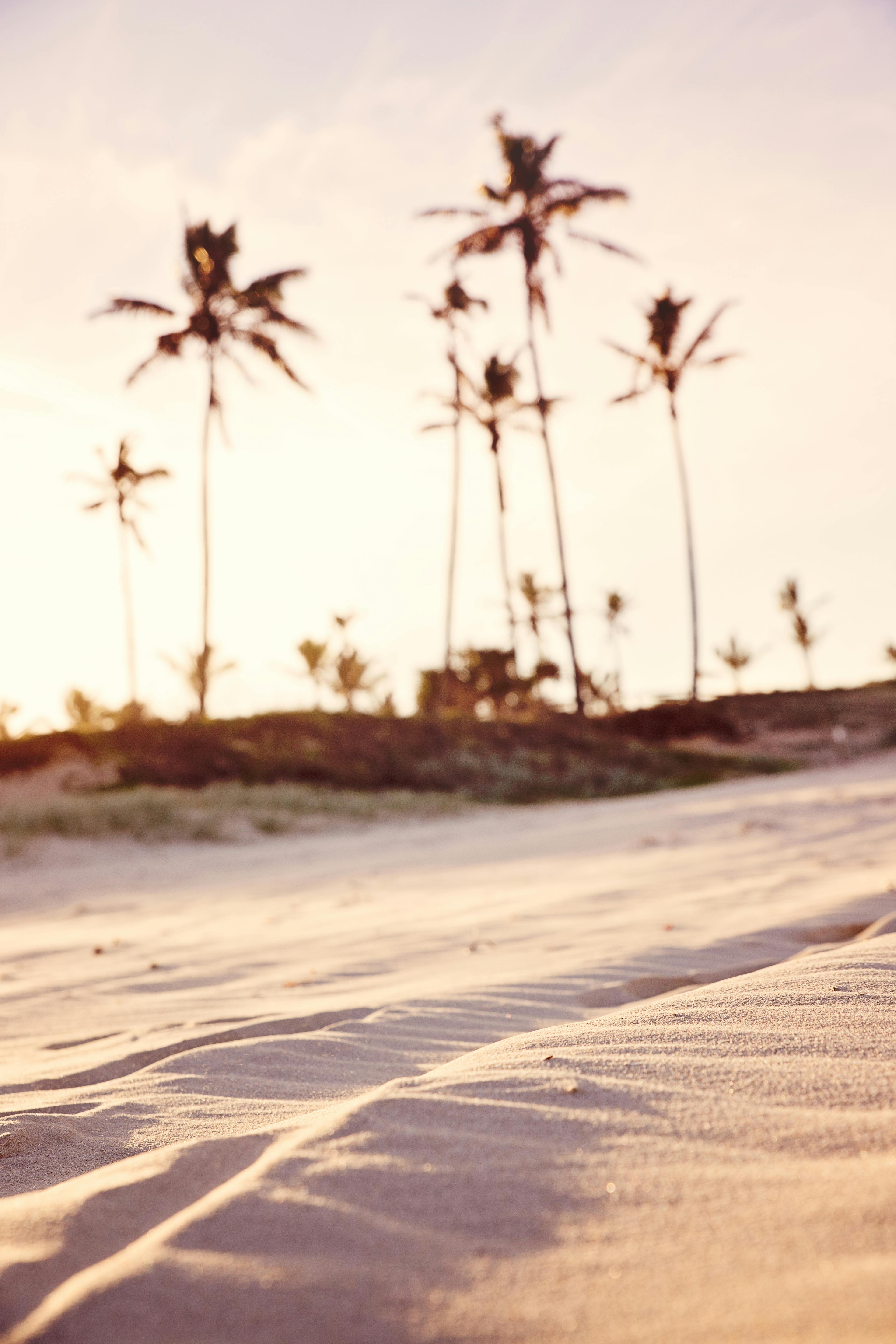 https://www.pexels.com/photo/closeup-photography-of-sand-1151282/