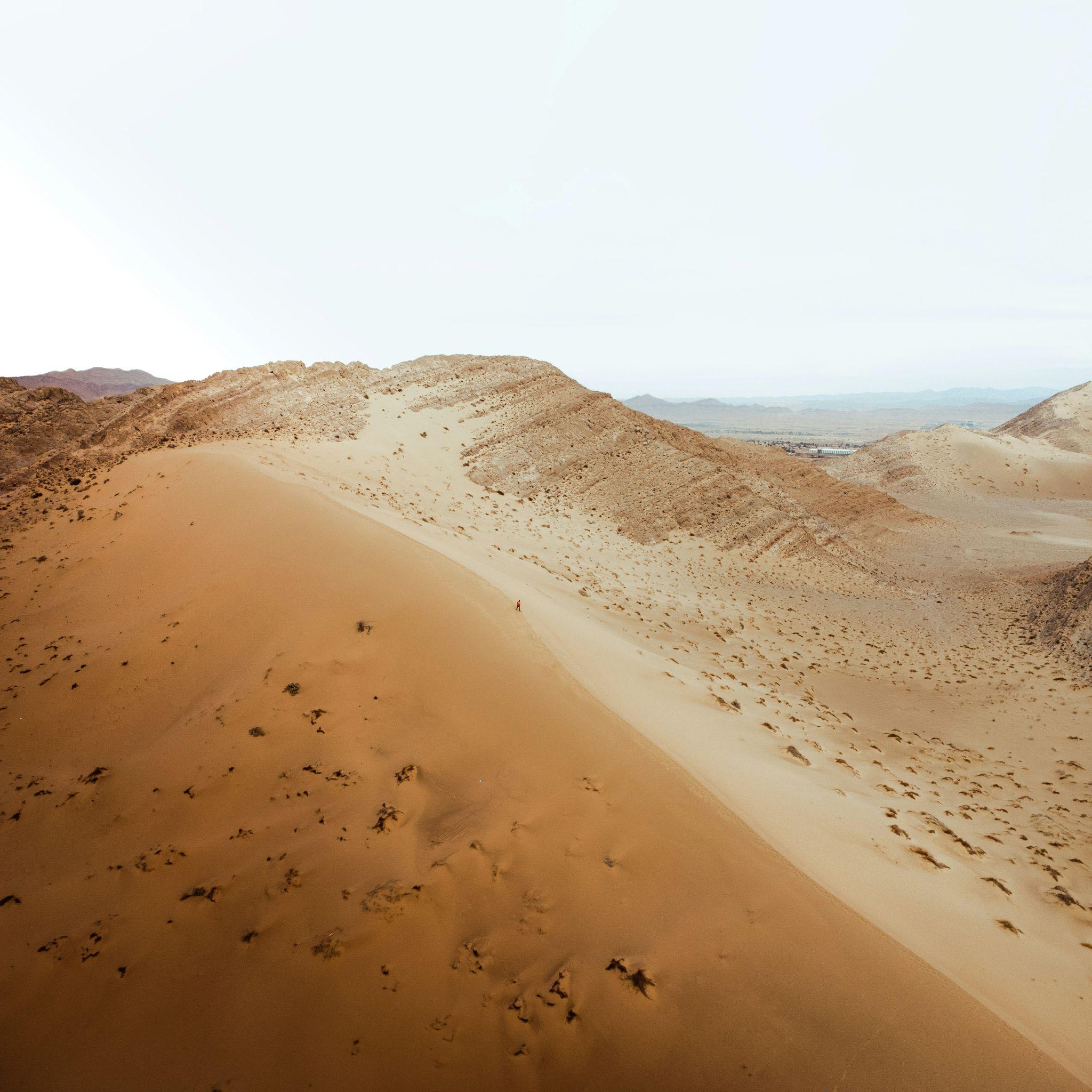 Palmeraie de Biskra