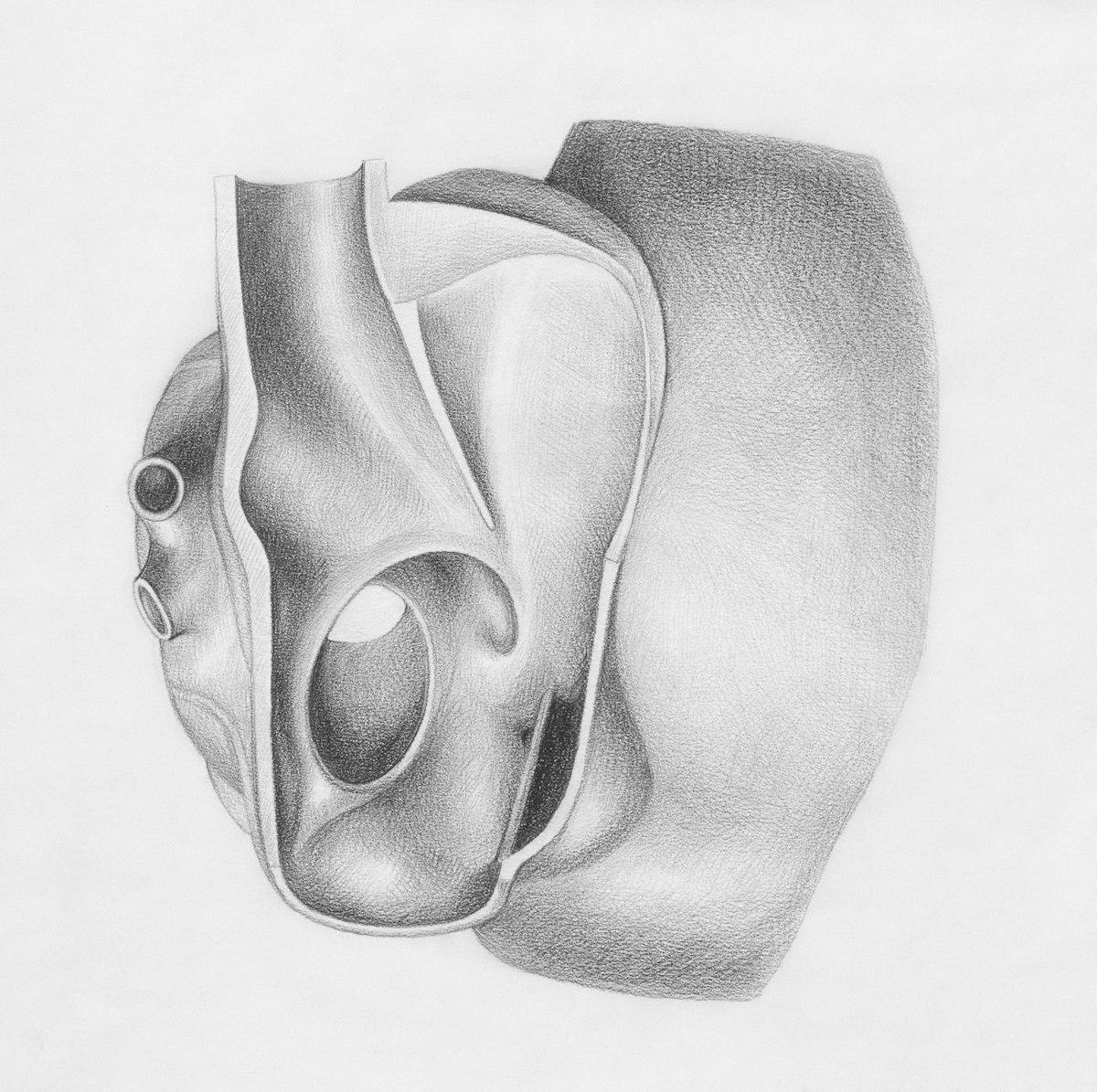 Étude au graphite d'une forme sculptée montrant les volumes et le modelé